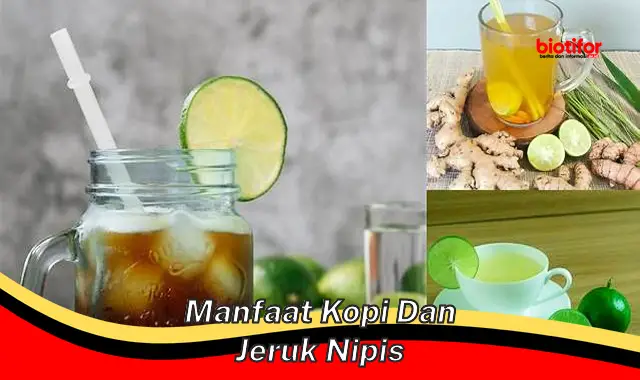 manfaat kopi dan jeruk nipis