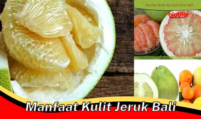 manfaat kulit jeruk bali