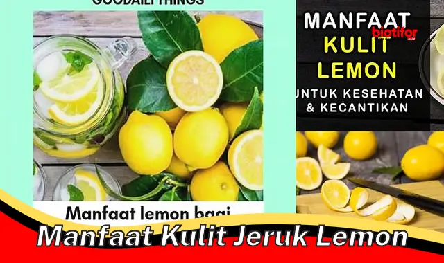 manfaat kulit jeruk lemon