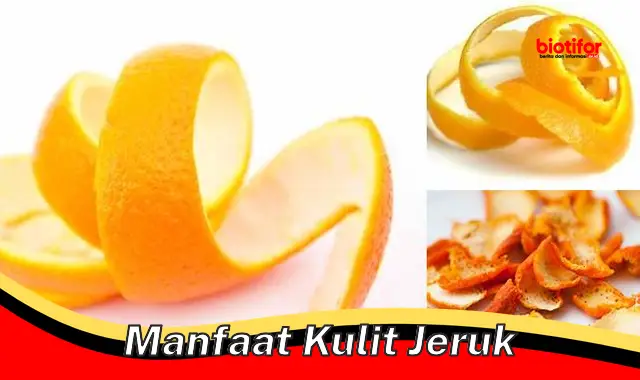 manfaat kulit jeruk