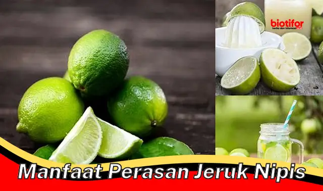 manfaat perasan jeruk nipis