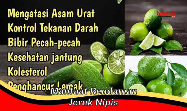 manfaat rendaman jeruk nipis