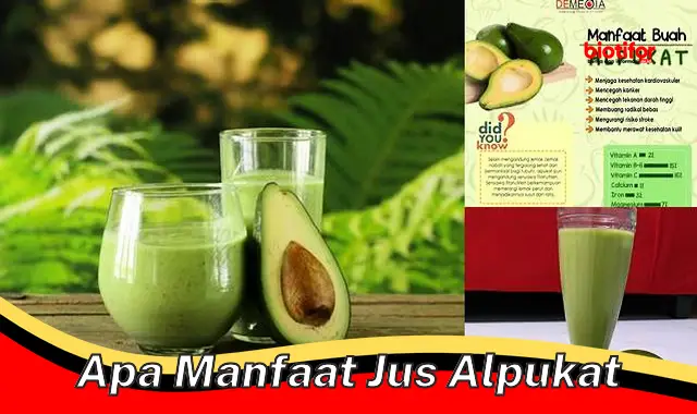 apa manfaat jus alpukat