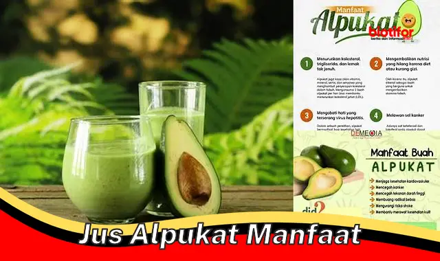 jus alpukat manfaat