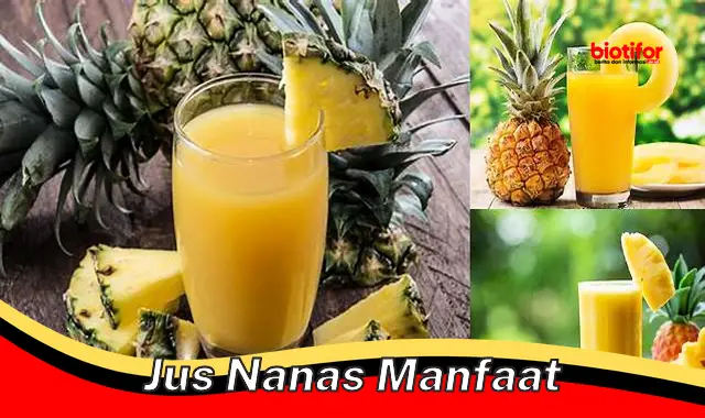 jus nanas manfaat