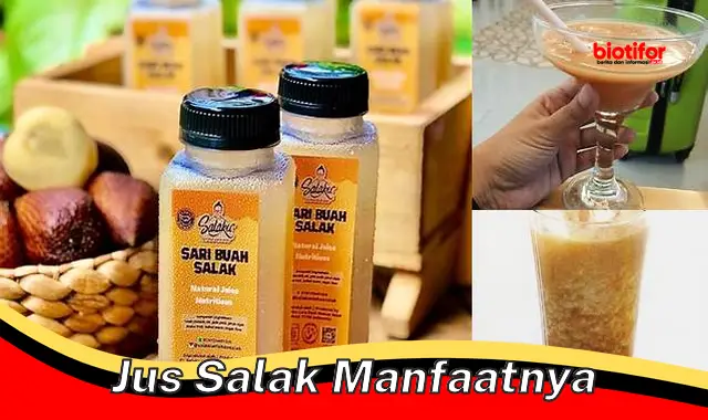 jus salak manfaatnya