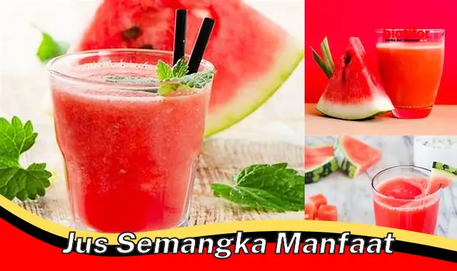 Temukan Manfaat Jus Semangka yang Jarang Diketahui