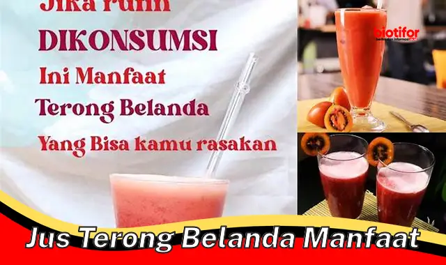 jus terong belanda manfaat