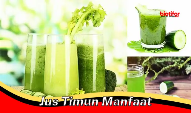 jus timun manfaat