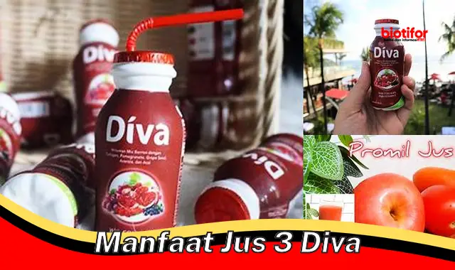 manfaat jus 3 diva