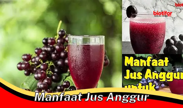 manfaat jus anggur