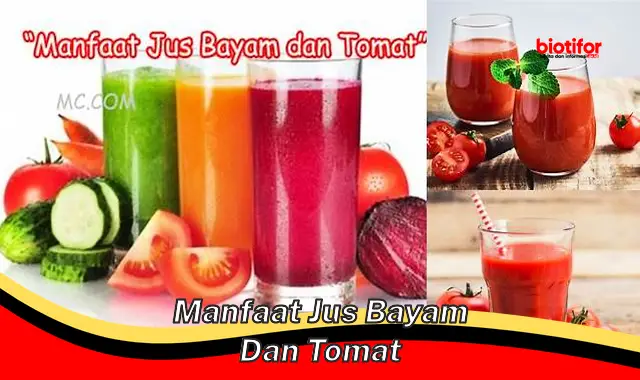 manfaat jus bayam dan tomat