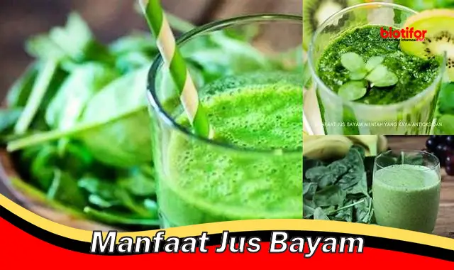 manfaat jus bayam