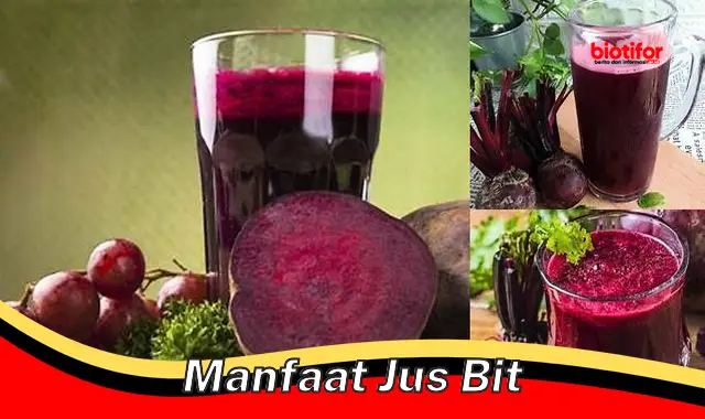 manfaat jus bit