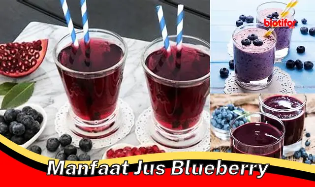 manfaat jus blueberry