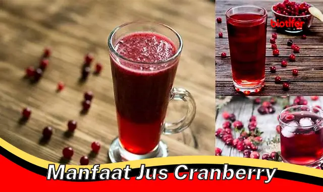 manfaat jus cranberry