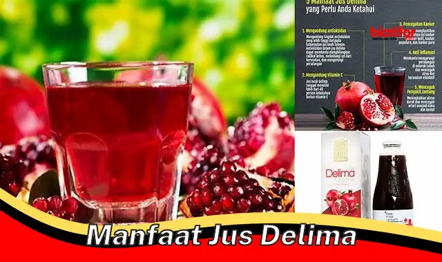 manfaat jus delima