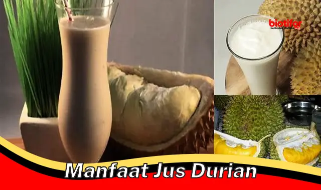 manfaat jus durian