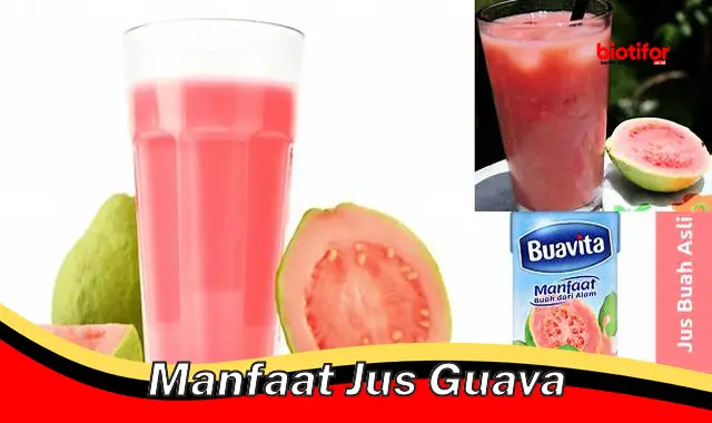 manfaat jus guava