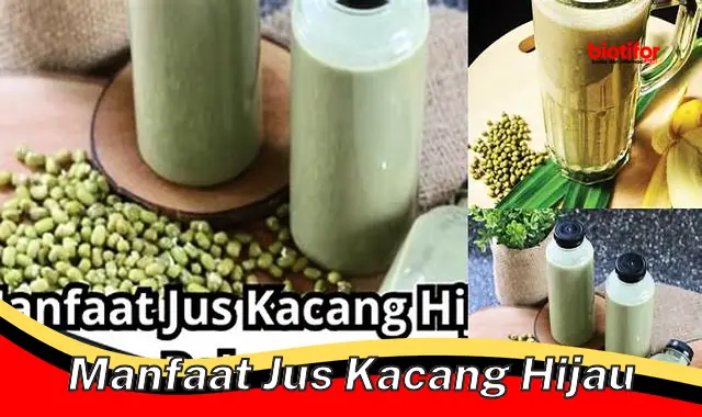 manfaat jus kacang hijau