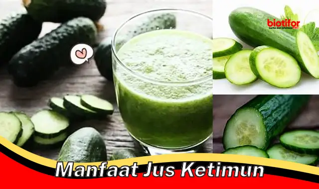 Temukan Manfaat Jus Ketimun yang Jarang Diketahui