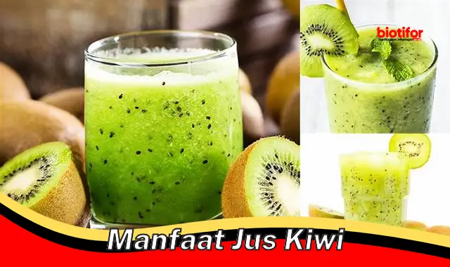 manfaat jus kiwi