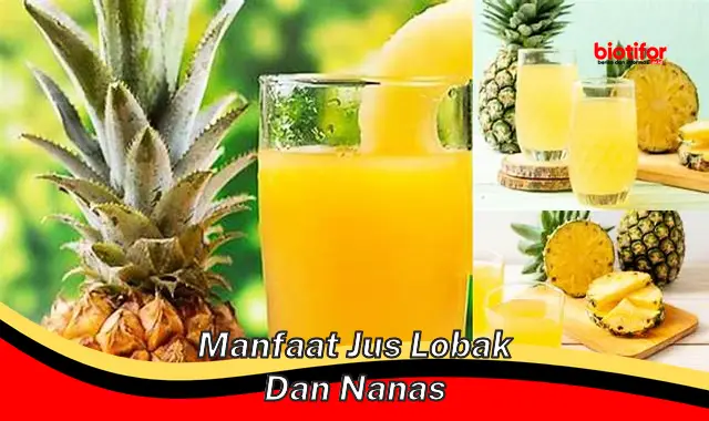 manfaat jus lobak dan nanas