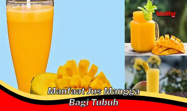 manfaat jus mangga bagi tubuh