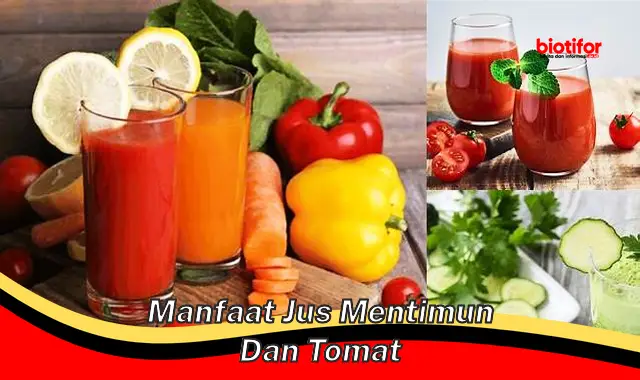 manfaat jus mentimun dan tomat