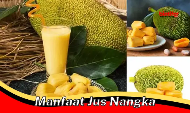 manfaat jus nangka