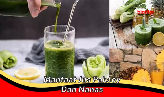 manfaat jus pakcoy dan nanas