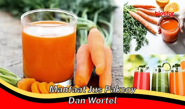 manfaat jus pakcoy dan wortel