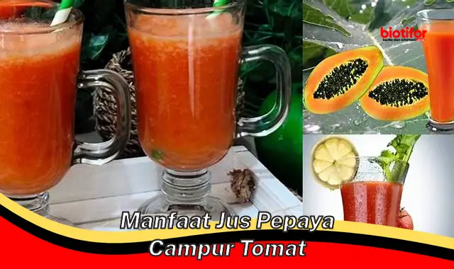 manfaat jus pepaya campur tomat