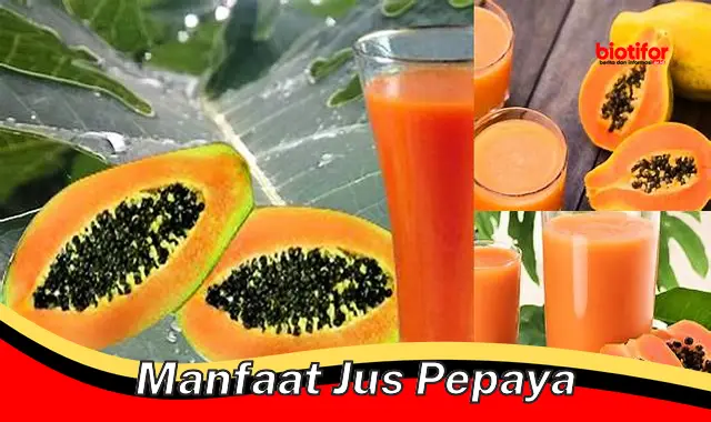 manfaat jus pepaya