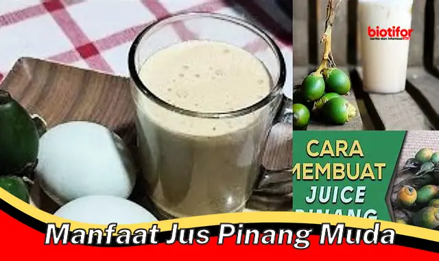 manfaat jus pinang muda