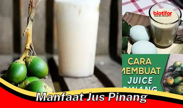 manfaat jus pinang