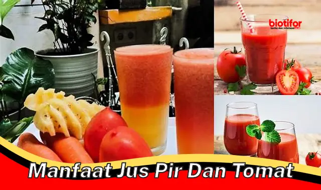 manfaat jus pir dan tomat