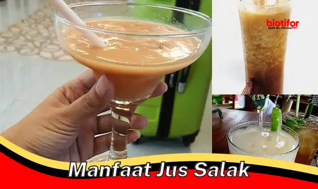 5 Manfaat Jus Salak yang Jarang Diketahui