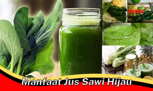 manfaat jus sawi hijau