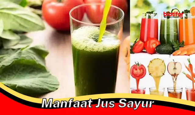 manfaat jus sayur