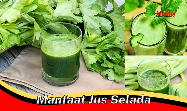 manfaat jus selada