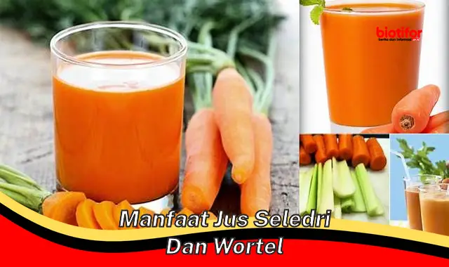 manfaat jus seledri dan wortel