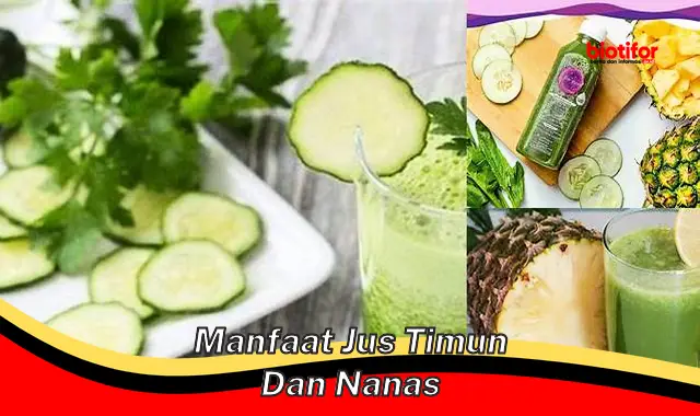 manfaat jus timun dan nanas