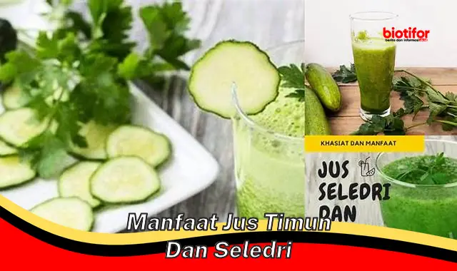 manfaat jus timun dan seledri