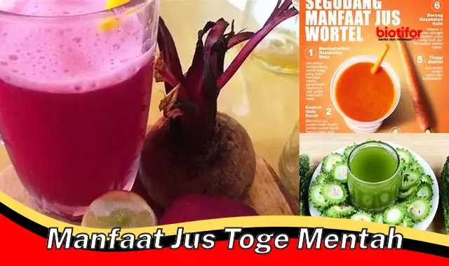 manfaat jus toge mentah