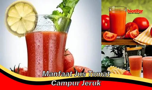 manfaat jus tomat campur jeruk