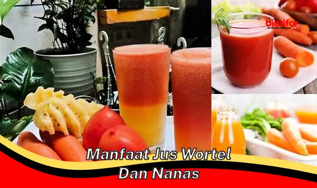 manfaat jus wortel dan nanas