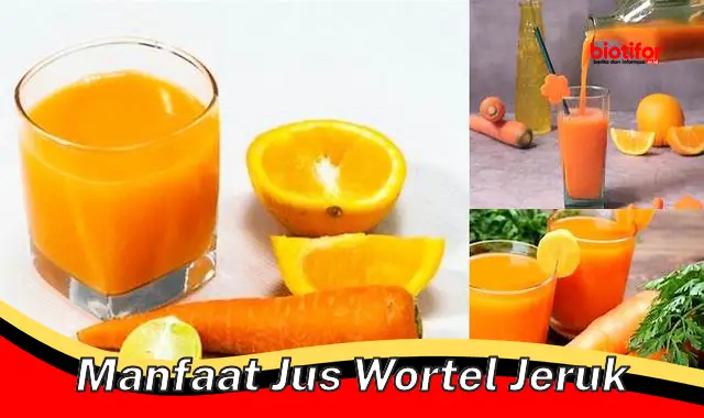 manfaat jus wortel jeruk