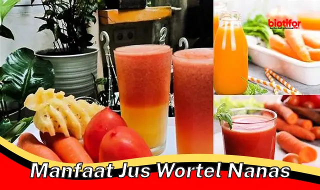 manfaat jus wortel nanas