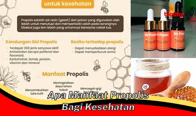 apa manfaat propolis bagi kesehatan